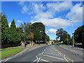 The A61 in Harewood