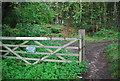 Gate, Pulborough Park Plantation