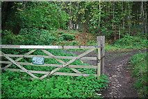 TQ0318 : Gate, Pulborough Park Plantation by N Chadwick