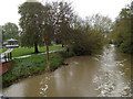 SP3165 : River Leam in spate, 1 May 2012 (1 of 2) by Robin Stott