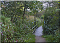 A footbridge on the Rotary Way