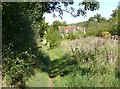 Footpath to Rectory End, Graveley