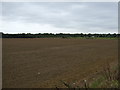 TF1902 : Farmland off Norwood Lane by JThomas