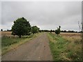 NO1631 : Farm road near Dunsinnan by Richard Webb