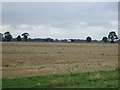 TF2503 : Farmland towards the A47 by JThomas