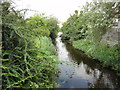 Dymchurch, Marshland Sewer