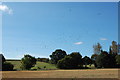 Flock of Crows at Kenardington