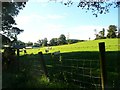 NS9836 : Pasture near St John's Kirk farm by Gordon Brown