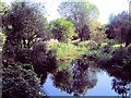 Stream in Brooklands Park