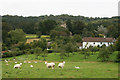 Chaffcombe church and village