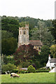 Chaffcombe church. St. Michael and All Angels