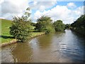 Coventry Canal: Reach near Rawn Hill