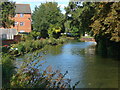 Guildford, River Wey