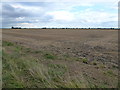 TF3102 : Stubble field on Lower Knarr Fen south east of Thorney by Richard Humphrey