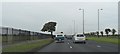 A lonely tree by the East Lancashire Road