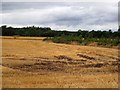 Ruts and stubble, Burrelton