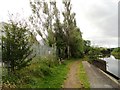 Riverside path at Swallwell