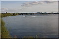 Racing Boats, Stewartby Lake