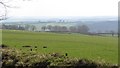 Improved grazing, Exmoor