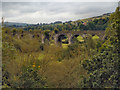 Railway Viaduct, Goyt Valley