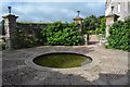 Hestercombe Gardens - fountain