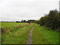 Path to Buckley Hill Farm, Littlemoss