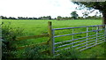 New gate and stile