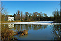 TQ2436 : Ifield Mill Pond (north part), partly frozen by Robin Webster