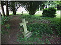 St Mary, Chute Forest: churchyard (b)