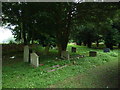 St Mary, Chute Forest: churchyard (c)