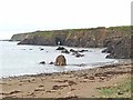 S8507 : Beach and cliffs at Blackhall Strand by Oliver Dixon