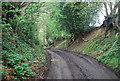 Wey South Path heading north