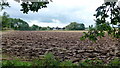 Ploughed field near Goldwick farm