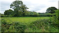 Fields at the foot of the Cotswolds