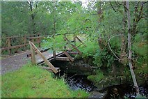 NM8464 : Bridge over Stream by Mick Garratt