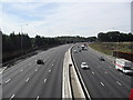 M25