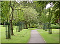 Avenue of trees