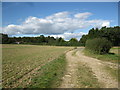 Path to Bigmore Lane