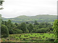 View across rough pasture and decidious woodland towards the village of Belcoo