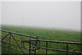 Farmland near Rickham Cross