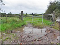 H4863 : Muddy field entrance, Seskinore by Kenneth  Allen