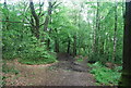 Greensand Way east of Reynards Hill