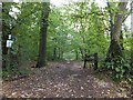 Bridleway south from Blackbury Camp