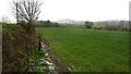 Cereals, Hillpike