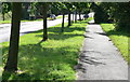 Path along Main Street towards Asfordby