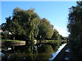 Ashton Canal east of Lumb Lane Bridge