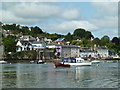 SX8654 : Dittisham from a trip boat on the River Dart by Chris Allen