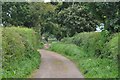 East Devon : Burrow Road [Track]