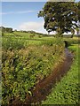 Stream, Higher Bruckland Farm