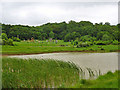 Pond, Claybury Park